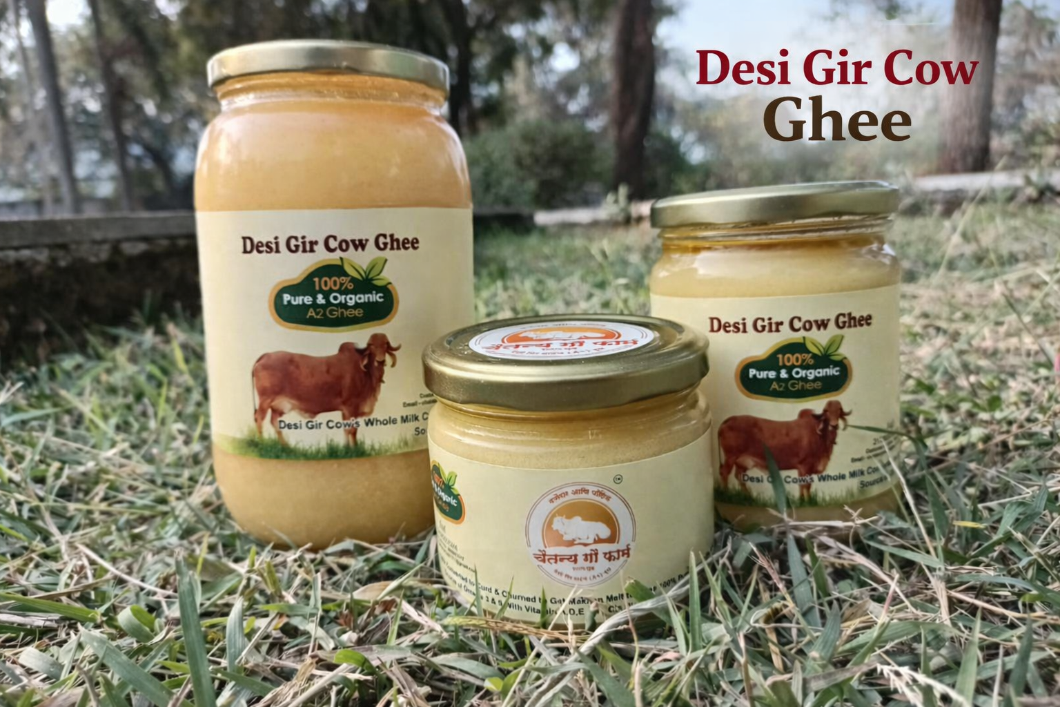 Desi Gir Cow Ghee