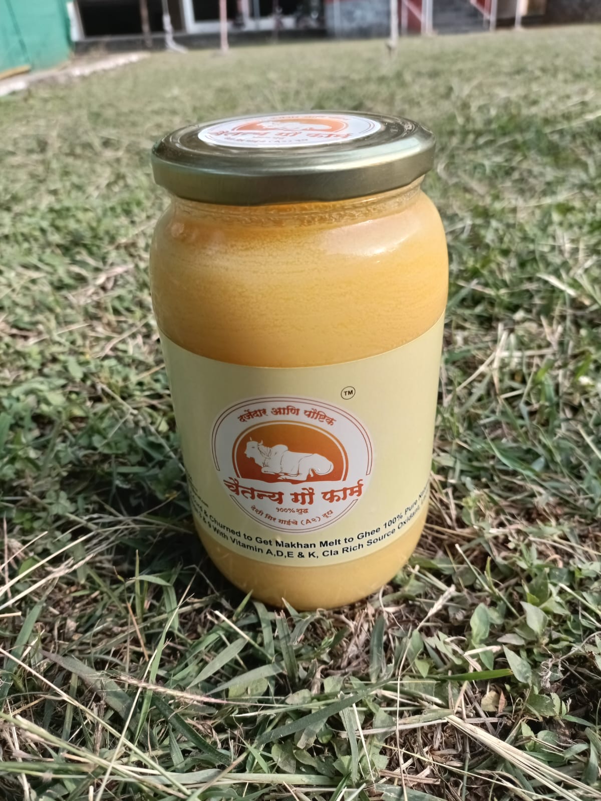 Desi Gir Cow Ghee